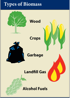 生物質(zhì)炭化回轉(zhuǎn)式干餾爐的應(yīng)用