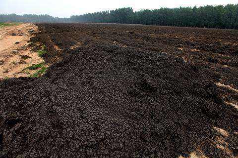 污泥深度脫水技術(shù)及優(yōu)缺點