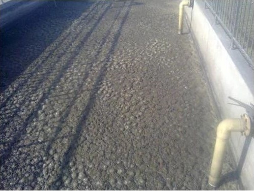 污泥膨脹的定義及污泥膨脹的后果