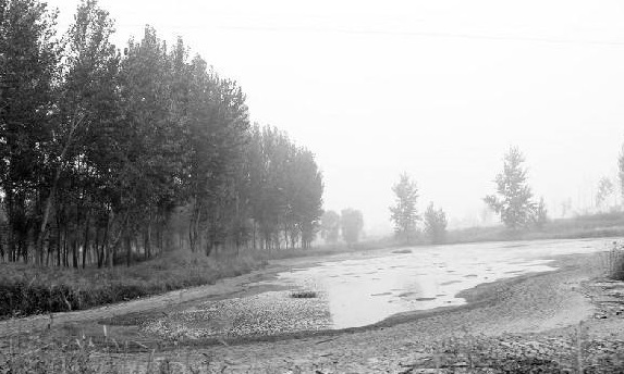 造紙污泥工業(yè)資源化利用新方向