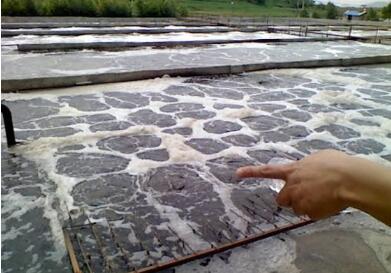 污泥膨脹的成因