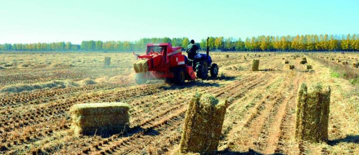 生物質(zhì)的工業(yè)基本原理 生物質(zhì)的工業(yè)基本原理