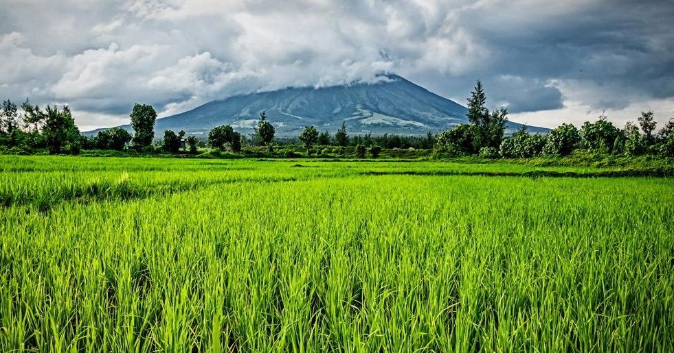 關(guān)于農(nóng)田綠色可持續(xù)修復(fù)的思考 關(guān)于農(nóng)田綠色可持續(xù)修復(fù)的思考