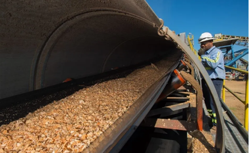 中國(guó)的生物質(zhì)能行業(yè)有哪些破局的方向和可能 中國(guó)的生物質(zhì)能行業(yè)有哪些破局的方向和可能