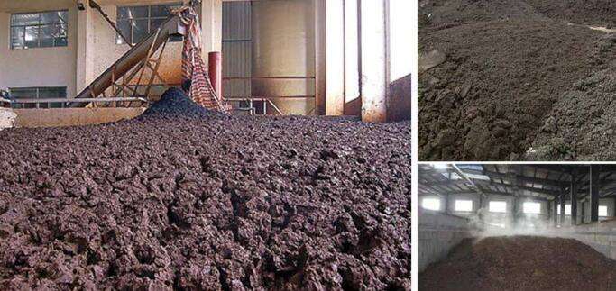 關(guān)于無(wú)機(jī)污泥和有機(jī)污泥的小知識(shí) 關(guān)于無(wú)機(jī)污泥和有機(jī)污泥的小知識(shí)